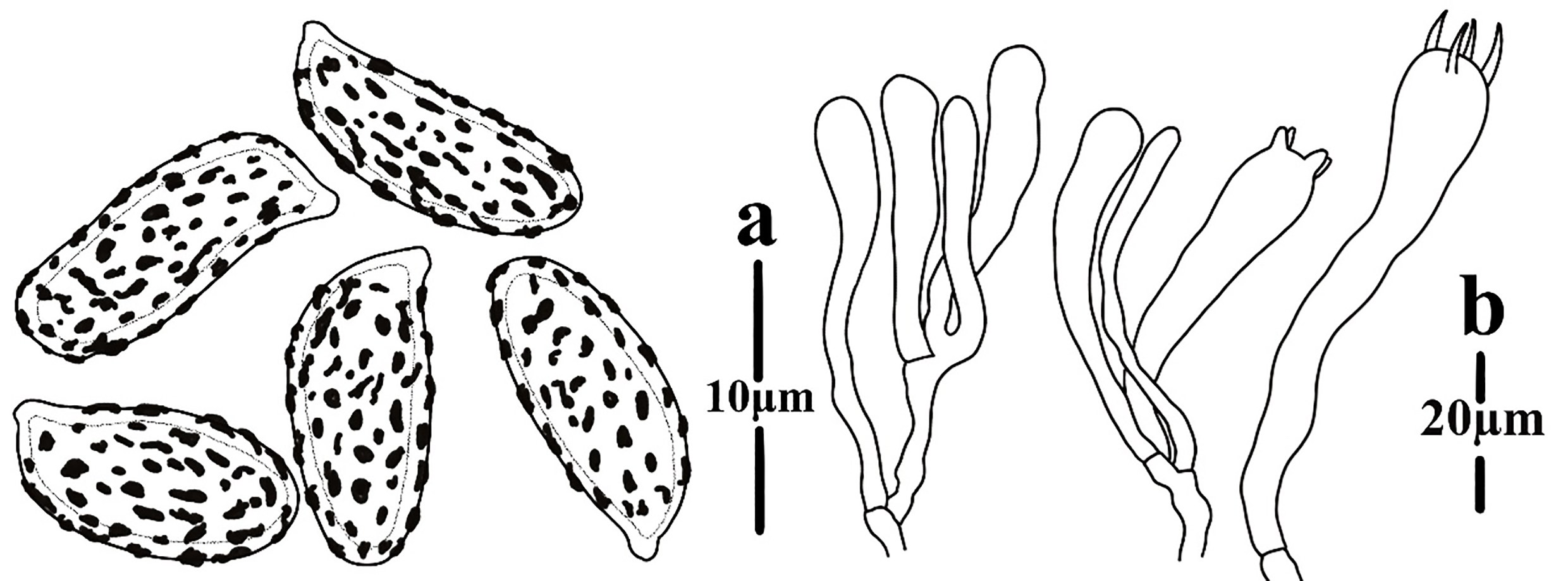 Figure 70